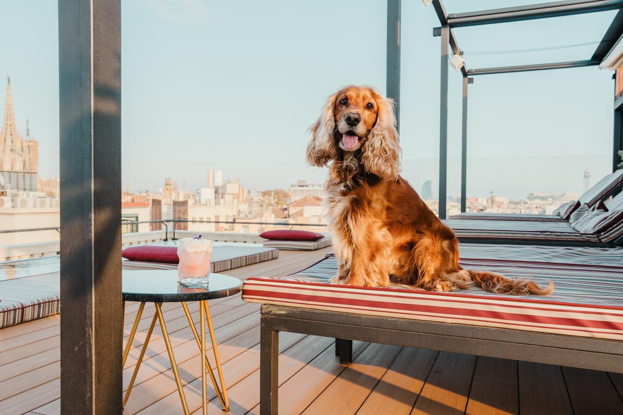 Kimpton Vividora Hotel, An Ihg Hotel Barcelona